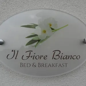 Il Fiore Bianco Capo dʼOrlando